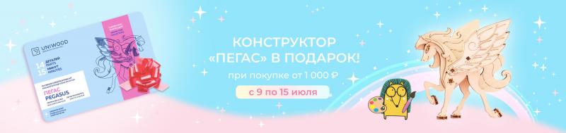 Конструктор "Пегас" в подарок